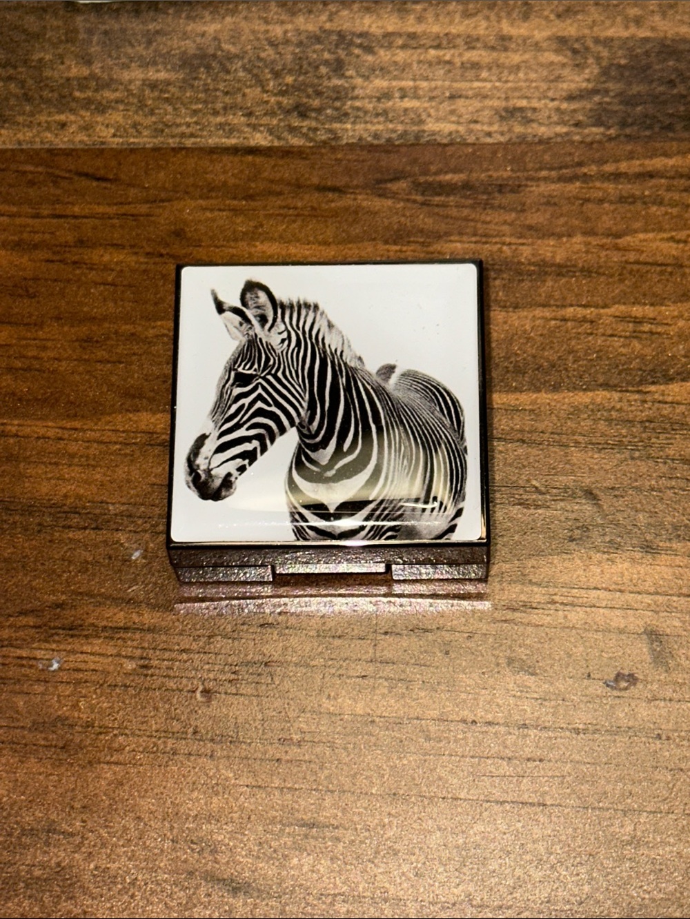 Chantecaille Luminescent Eye Shade - Zebra